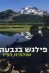 פילגש בגבעה / שולמית לפיד