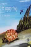 באלו כשבא לו / מירה מאיר