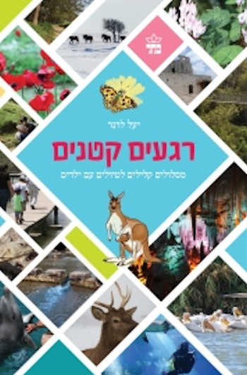 רגעים קטנים: מסלולים קלילים לטיולים עם ילדים