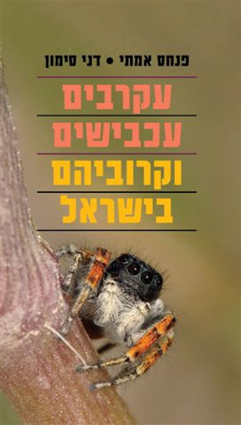 עקרבים עכבישים וקרוביהם בישראל
