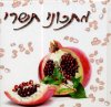 מתכוני תשרי