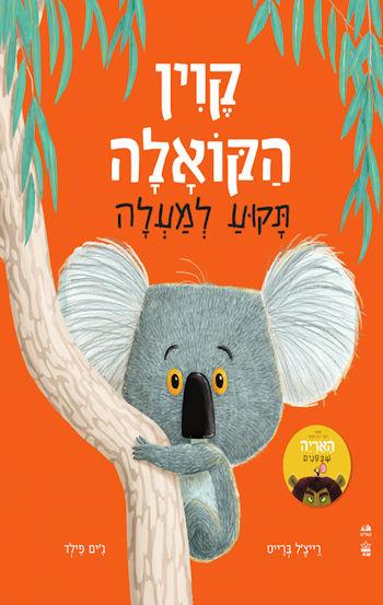 קווין הקואלה תקוע למעלה