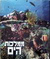 ממלכות הים - נשיונל ג'אוגרפיק