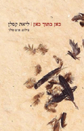 כאן בתוך כאן