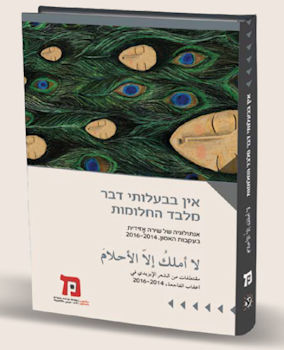 אין בבעלותי דבר מלבד החלומות