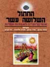 החתול השלושה עשר / תומר קרמן