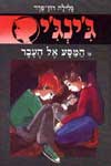 ג'ינג'י -11מסע אל העבר / גלילה רון-פדר