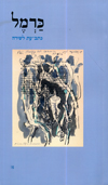 כרמל 16
