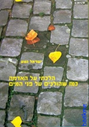 הלכתי על האדמה כמו שהולכים על פני המים