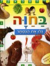 בחוה גלו את הנסתר קרטון