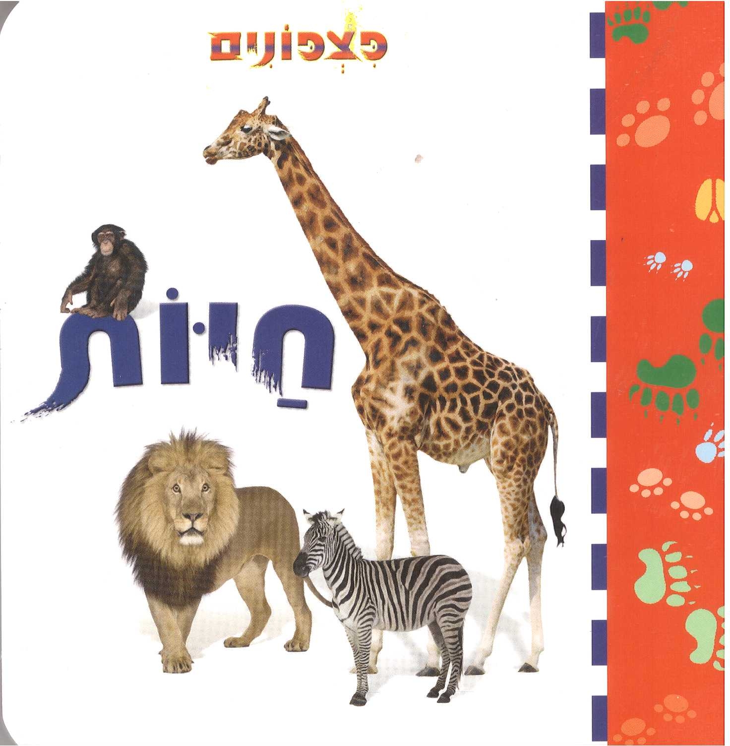 פצפונים-חיות