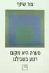 סערה היא מקום רגוע בשבילנו / צור שיזף