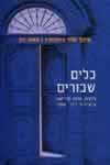 כלים שבורים/מיכל פלד גינזבורג,משה רון