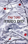 ימים בסערה