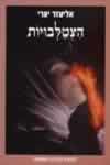 הצטלבויות