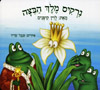נרקיס מלך הביצה-קשיח