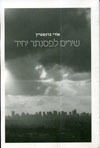 שירים לפסנתר יחיד