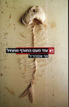 עוד מעט החורף מתחיל