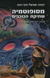 מסופוטמיה שתיקת הכוכבים