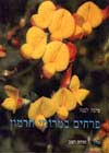פרחים במרומי חרמון-סדרת חצב / מ.לבנה