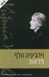 פלאש