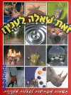 זאת שאלה לענין!