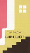 רכוש נטוש / שולמית לפיד