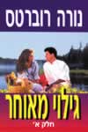 גילוי מאוחר א’’ / נורה רוברטס