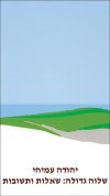 שלווה גדולה: שאלות ותשובות / יהודה עמיחי