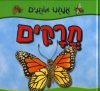 אנחנו אוהבים חרקים