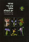 פרחי עין גדי וחוף ים המלח
