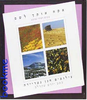 אקח אותך לשם/טהרלב,גטריידה