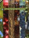 ארץ שבעת המינים