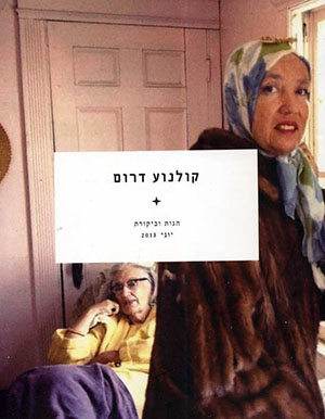 קולנוע דרום יוני 2013