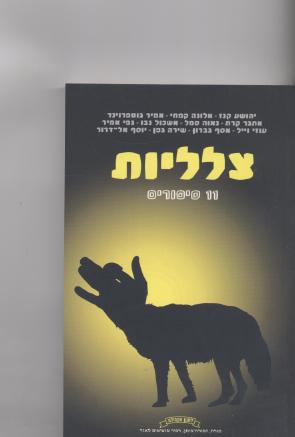 צלליות 11 סיפורים