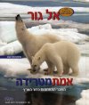 אמת מטרידה