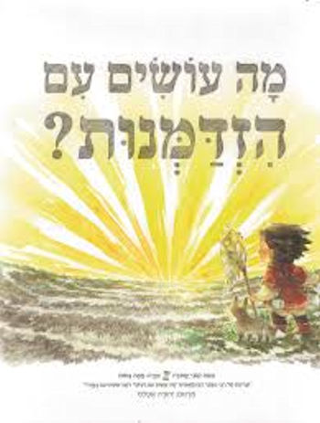 מה עושים עם הזדמנות?