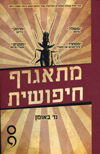 מתאגרף חיפושית