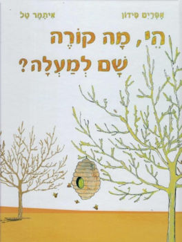הי מה קורה שם למעלה
