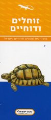 זוחלים ודוחיים בישראל (טבע ישראלי) (ס.עכשיו)