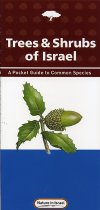 Trees & Shrubs of Israel