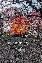 ענפי התודעה