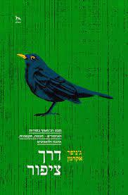 דרך ציפור