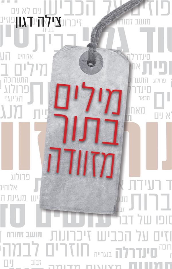 מילים בתוך מזוודה