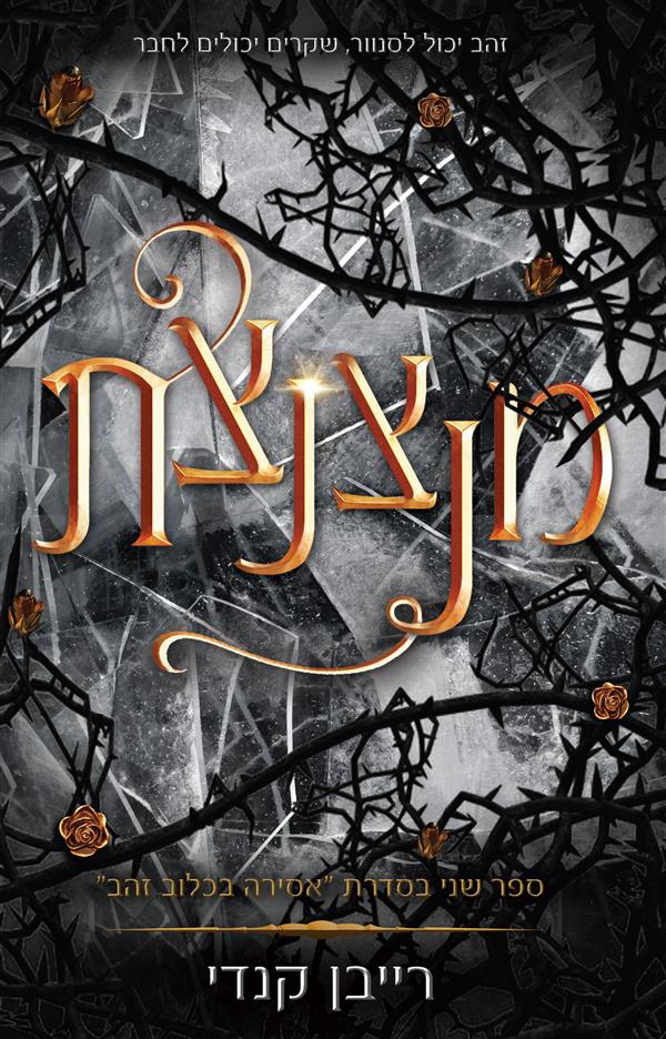 מנצנצת-אסירה בכלוב זהב 2